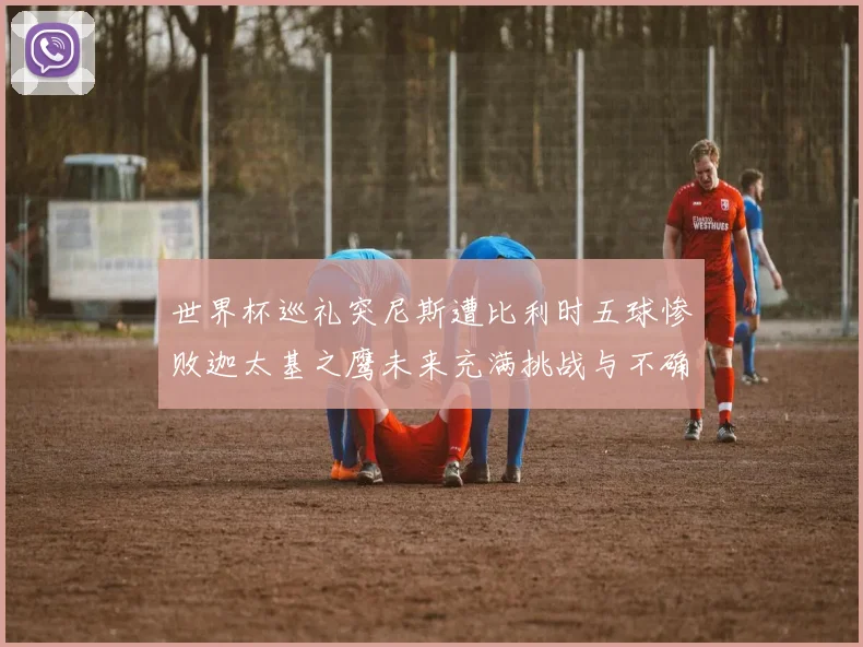 世界杯巡礼突尼斯遭比利时五球惨败迦太基之鹰未来充满挑战与不确定性