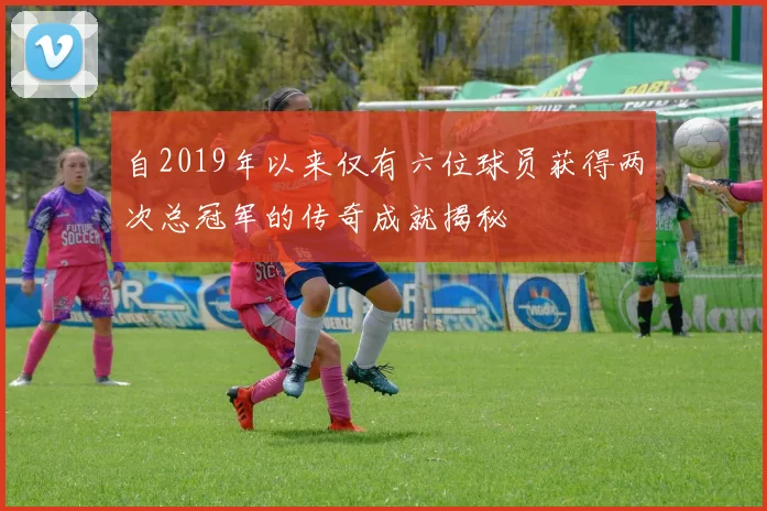 自2019年以来仅有六位球员获得两次总冠军的传奇成就揭秘
