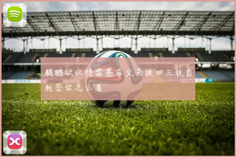 鹈鹕欲以特雷墨菲交易换回三枚首轮签你怎么看
