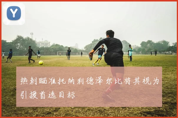 热刺瞄准托纳利德泽尔比将其视为引援首选目标